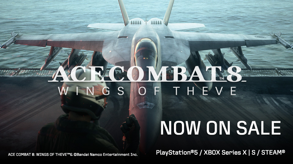 ACE COMBAT 8: WINGS OF THE VE