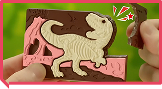 Confectionery & Foods